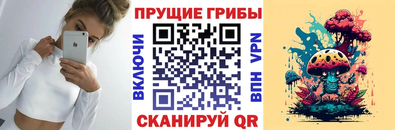Галлюциногенные грибы мицелий  Минеральные Воды 