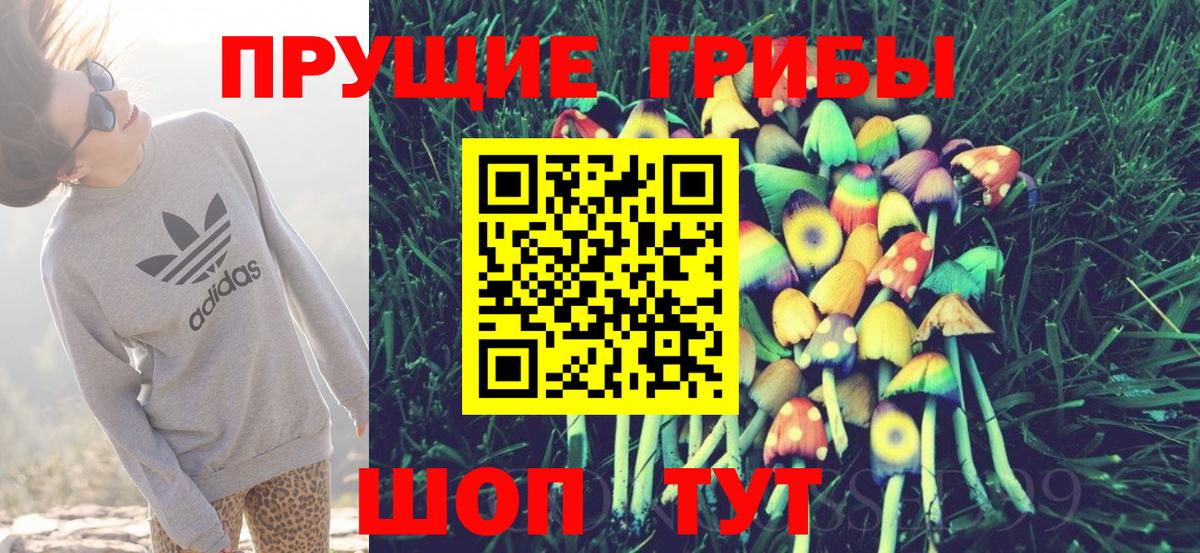 Минеральные Воды  Псилоцибиновые грибы GOLDEN TEACHER  Вход с VPN 