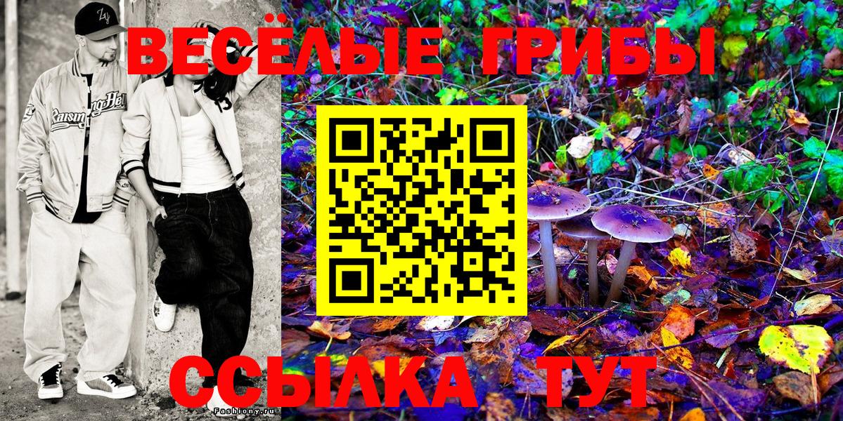 Галлюциногенные грибы Psilocybine cubensis Минеральные Воды