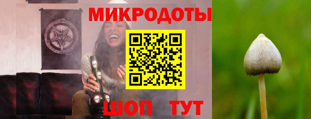 Минеральные Воды  Галлюциногенные грибы прущие грибы  Вход с VPN 